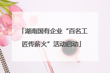 湖南国有企业“百名工匠传薪火”活动启动