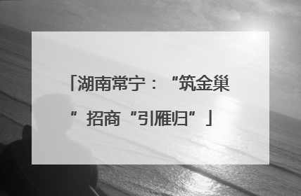 湖南常宁：“筑金巢”招商“引雁归”