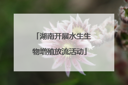 湖南开展水生生物增殖放流活动