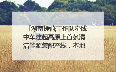 湖南援藏工作队牵线中车建起高原上首条清洁能源装配产线，本地大学生成车间检验员