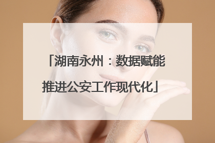 湖南永州：数据赋能推进公安工作现代化