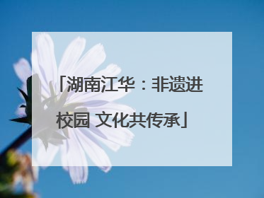 湖南江华：非遗进校园 文化共传承