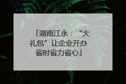 湖南江永：“大礼包”让企业开办省时省力省心