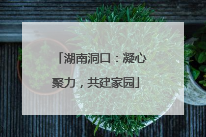 湖南洞口：凝心聚力，共建家园