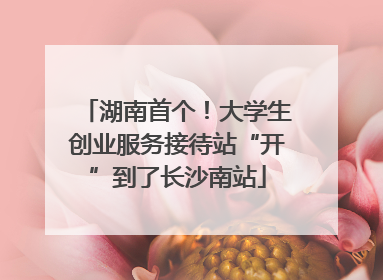 湖南首个！大学生创业服务接待站“开”到了长沙南站