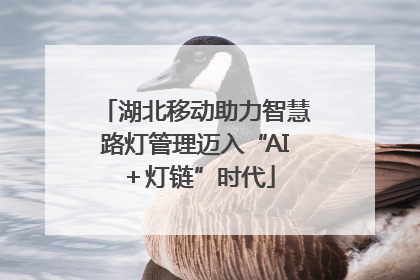 湖北移动助力智慧路灯管理迈入“AI＋灯链”时代