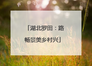 湖北罗田：路畅景美乡村兴