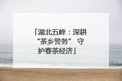 湖北五峰：深耕“茶乡警务” 守护春茶经济