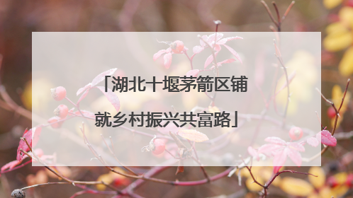 湖北十堰茅箭区铺就乡村振兴共富路