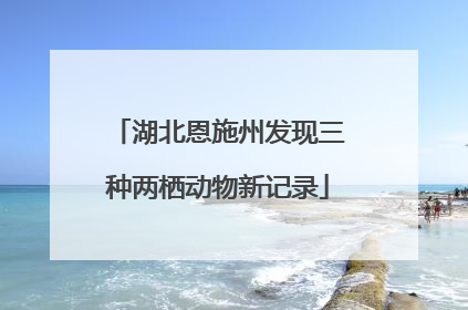 湖北恩施州发现三种两栖动物新记录