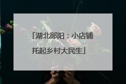 湖北郧阳：小店铺托起乡村大民生