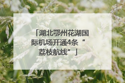 湖北鄂州花湖国际机场开通4条“荔枝航线”