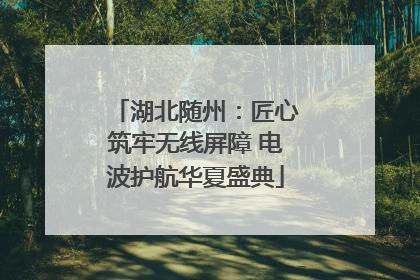 湖北随州：匠心筑牢无线屏障 电波护航华夏盛典