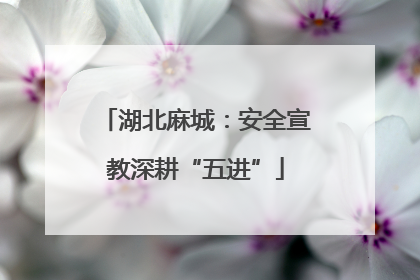 湖北麻城：安全宣教深耕“五进”