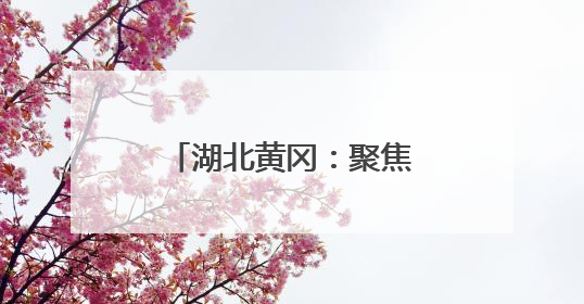 湖北黄冈：聚焦创新与质量 打造三维新模式
