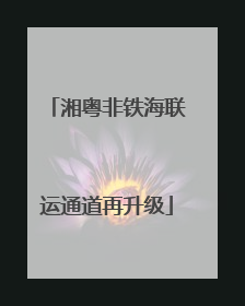 湘粤非铁海联运通道再升级
