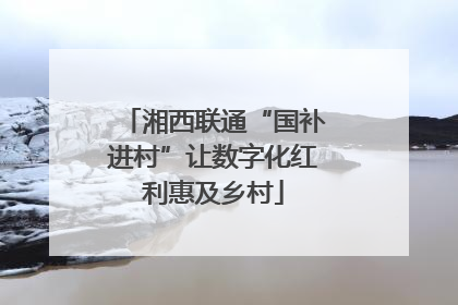 湘西联通“国补进村”让数字化红利惠及乡村