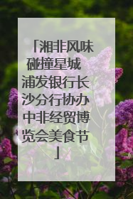 湘非风味碰撞星城 浦发银行长沙分行协办中非经贸博览会美食节