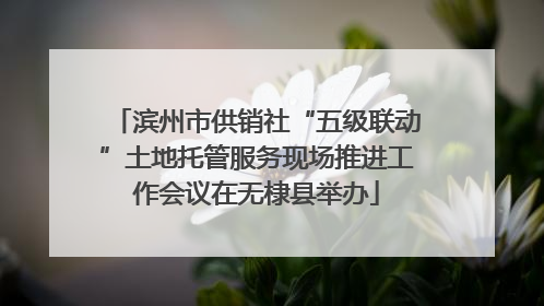 滨州市供销社“五级联动”土地托管服务现场推进工作会议在无棣县举办