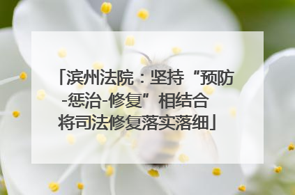 滨州法院：坚持“预防-惩治-修复”相结合 将司法修复落实落细