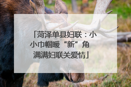 菏泽单县妇联：小小巾帼暖“新”角 满满妇联关爱情