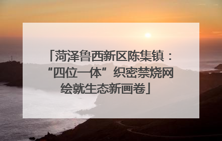 菏泽鲁西新区陈集镇：“四位一体”织密禁烧网 绘就生态新画卷
