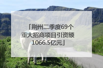 荆州二季度69个重大招商项目引资额1066.5亿元