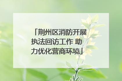 荆州区消防开展执法回访工作 助力优化营商环境