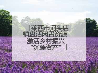 莱西市河头店镇盘活闲置资源 激活乡村振兴“沉睡资产”