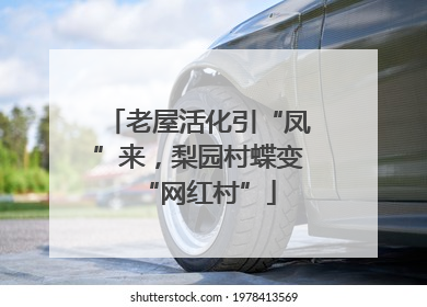 老屋活化引“凤”来，梨园村蝶变“网红村”