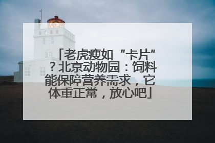 老虎瘦如“卡片”？北京动物园：饲料能保障营养需求，它体重正常，放心吧