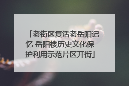 老街区复活老岳阳记忆 岳阳楼历史文化保护利用示范片区开街