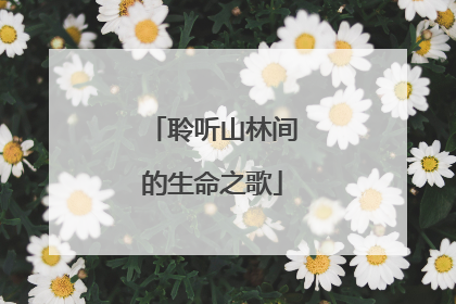 聆听山林间的生命之歌