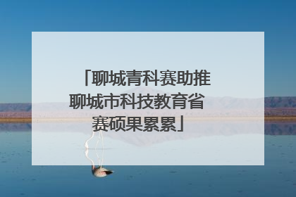 聊城青科赛助推聊城市科技教育省赛硕果累累