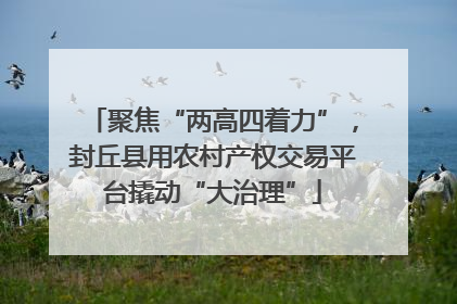 聚焦“两高四着力”，封丘县用农村产权交易平台撬动“大治理”