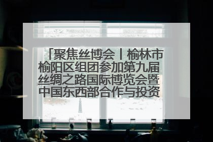 聚焦丝博会丨榆林市榆阳区组团参加第九届丝绸之路国际博览会暨中国东西部合作与投资贸易洽谈会