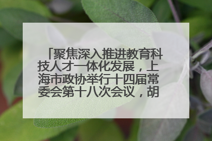 聚焦深入推进教育科技人才一体化发展，上海市政协举行十四届常委会第十八次会议，胡文容出席并讲话