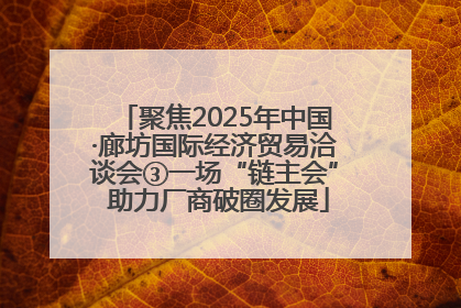 聚焦2025年中国·廊坊国际经济贸易洽谈会③一场“链主会” 助力厂商破圈发展