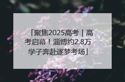 聚焦2025高考｜高考启幕！淄博约2.8万学子奔赴逐梦考场