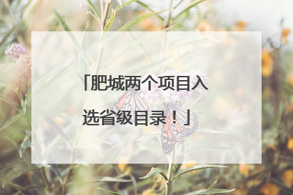 肥城两个项目入选省级目录！
