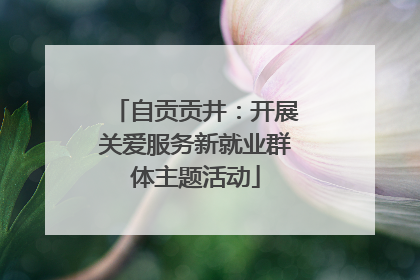 自贡贡井：开展关爱服务新就业群体主题活动