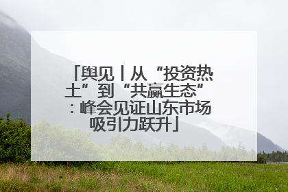 舆见丨从“投资热土”到“共赢生态”：峰会见证山东市场吸引力跃升