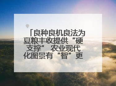 良种良机良法为夏粮丰收提供“硬支撑” 农业现代化图景有“智”更有“质”