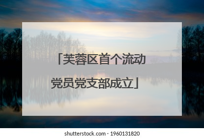 芙蓉区首个流动党员党支部成立