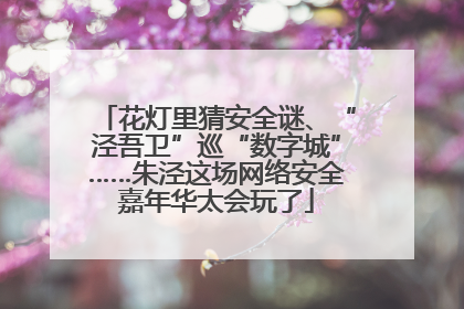 花灯里猜安全谜、“泾吾卫”巡“数字城”……朱泾这场网络安全嘉年华太会玩了