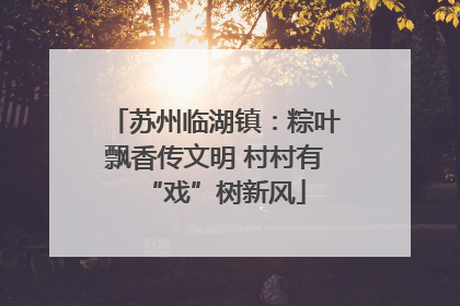 苏州临湖镇：粽叶飘香传文明 村村有“戏”树新风