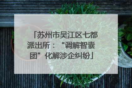 苏州市吴江区七都派出所：“调解智囊团”化解涉企纠纷