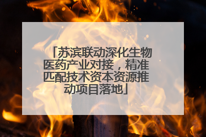 苏滨联动深化生物医药产业对接，精准匹配技术资本资源推动项目落地