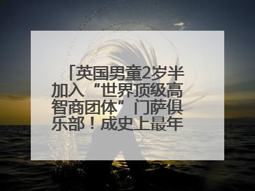英国男童2岁半加入“世界顶级高智商团体”门萨俱乐部！成史上最年轻男性会员