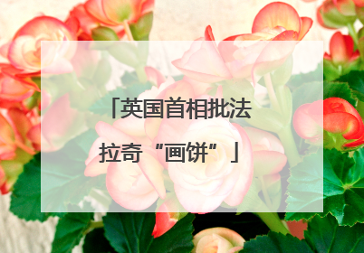 英国首相批法拉奇“画饼”
